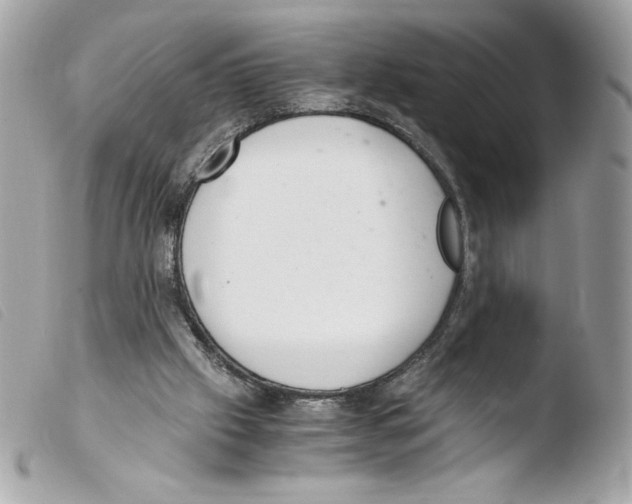 X0000103500057200810101056