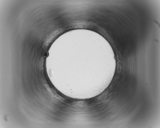 X0000103500058200810101056