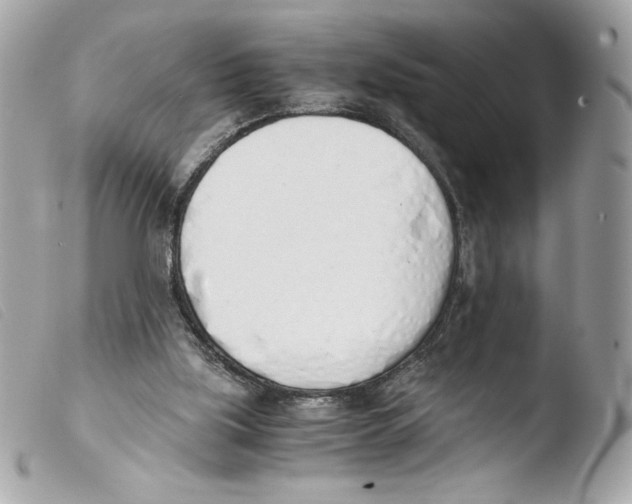 X0000103500059200810101056