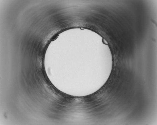 X0000103500060200810101056