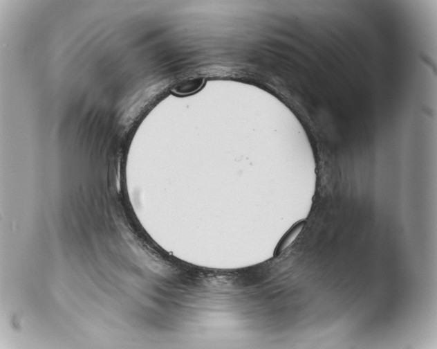 X0000103500062200810101056