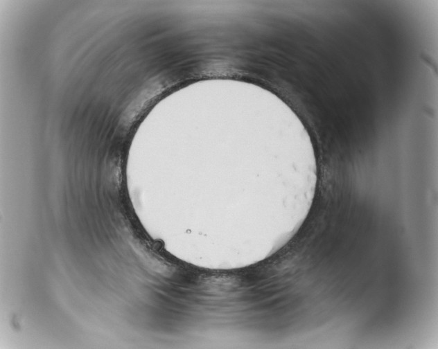 X0000103500063200810101056