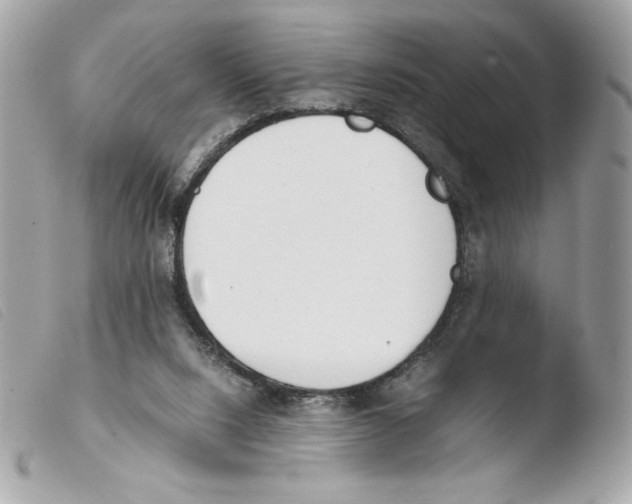 X0000103500064200810101056