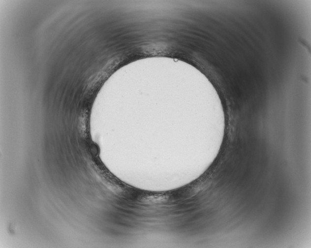 X0000103500065200810101056