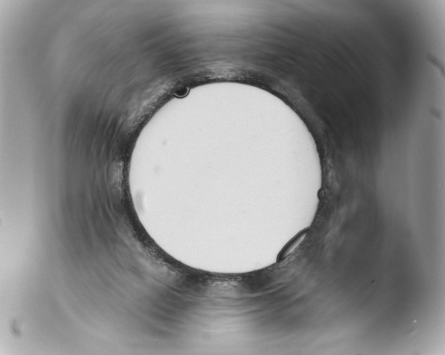 X0000103500066200810101056