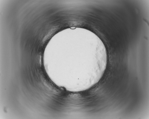 X0000103500067200810101056