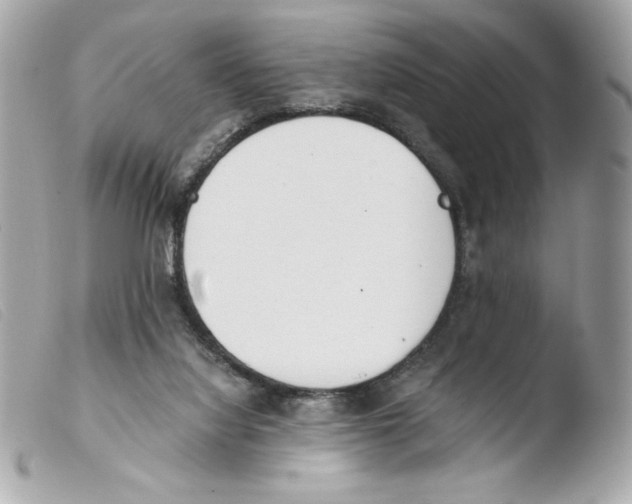 X0000103500068200810101056