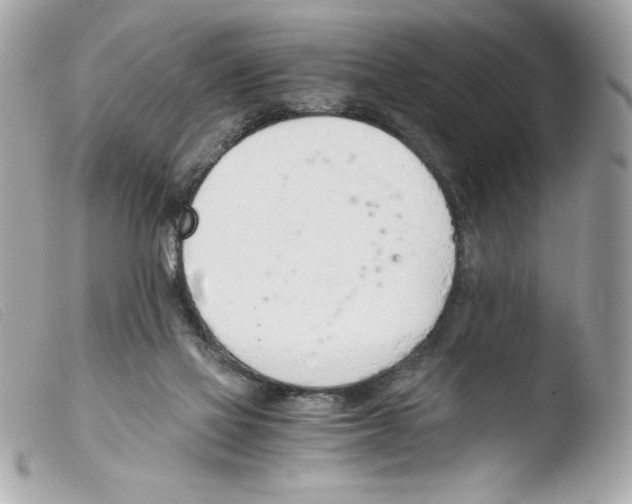 X0000103500069200810101056