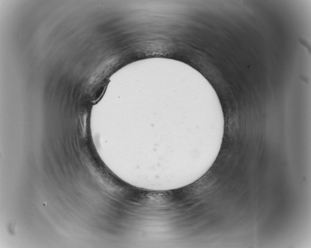 X0000103500070200810101056