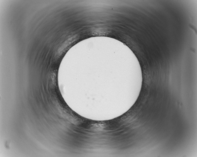 X0000103500071200810101056