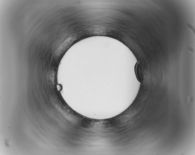 X0000103500072200810101056