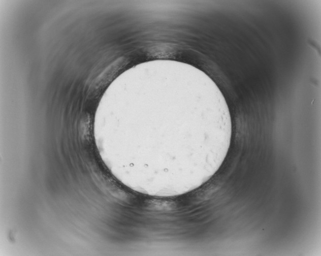 X0000103500073200810101056