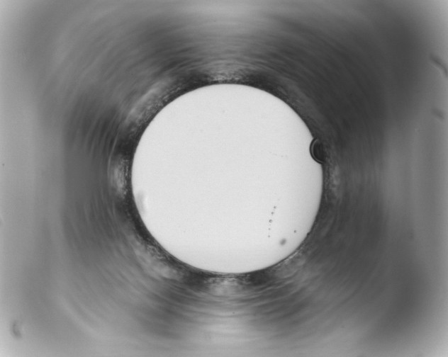 X0000103500074200810101056