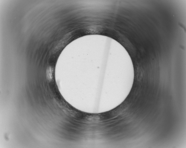 X0000103500075200810101056