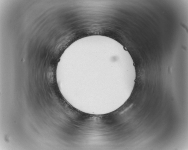 X0000103500080200810101056