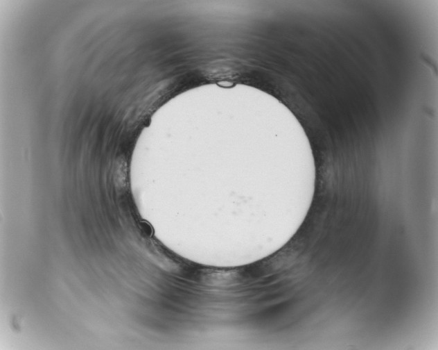 X0000103500081200810101056