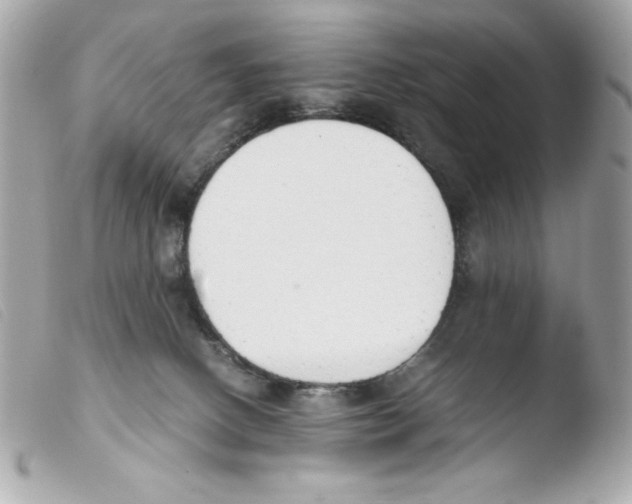 X0000103500082200810101056