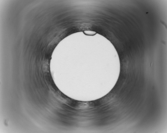 X0000103500083200810101056