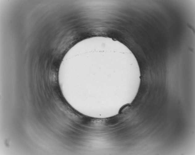 X0000103500084200810101056