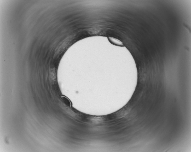 X0000103500085200810101056