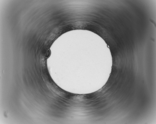 X0000103500086200810101056