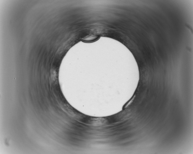 X0000103500087200810101056