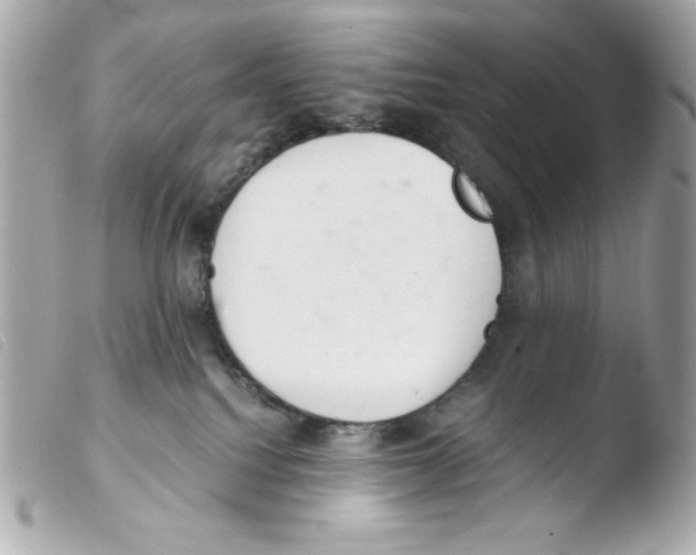 X0000103500088200810101056