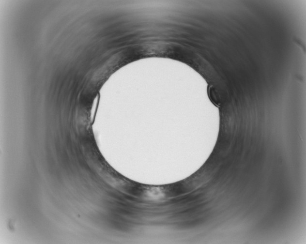 X0000103500091200810101056