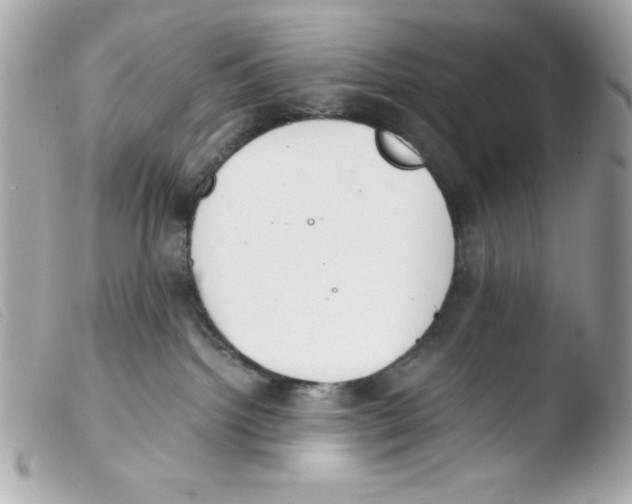 X0000103500092200810101056