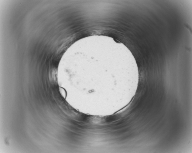 X0000103500094200810101056