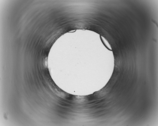 X0000103500095200810101056