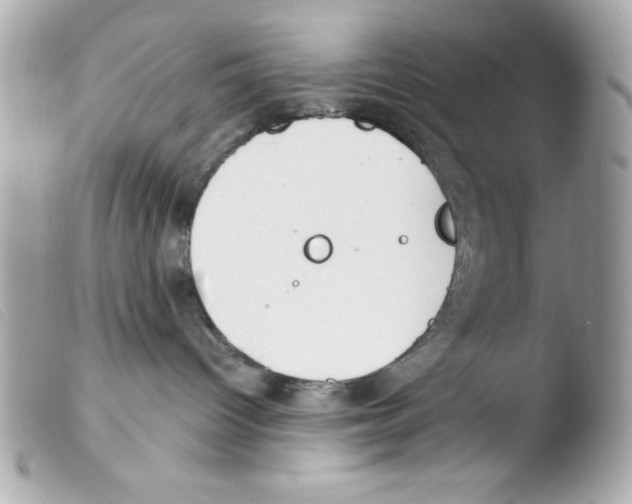 X0000103500096200810101056