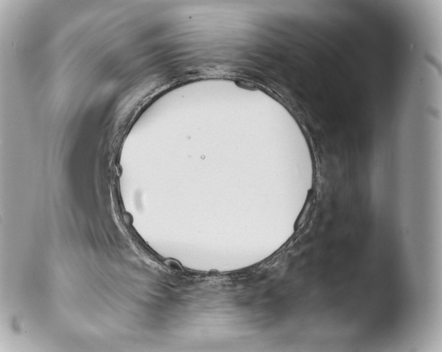 X0000103500097200810101055