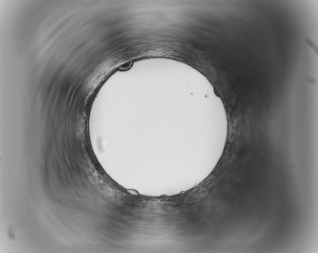 X0000103500098200810101055