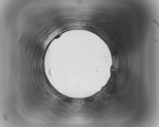 X0000103500099200810101055