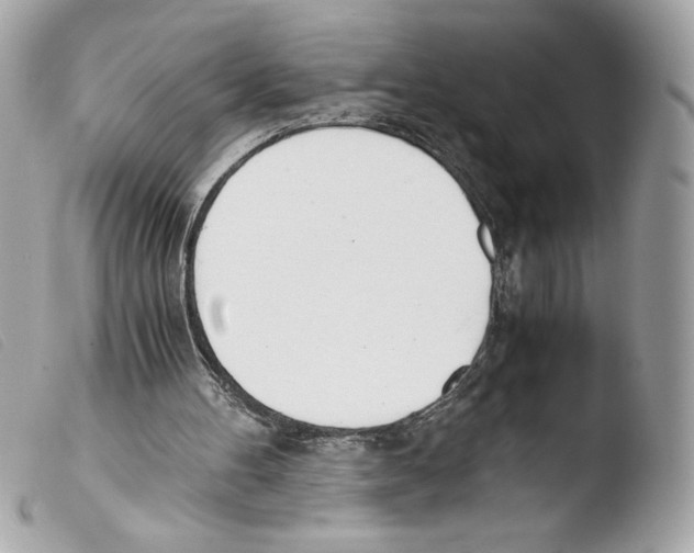 X0000103500100200810101055