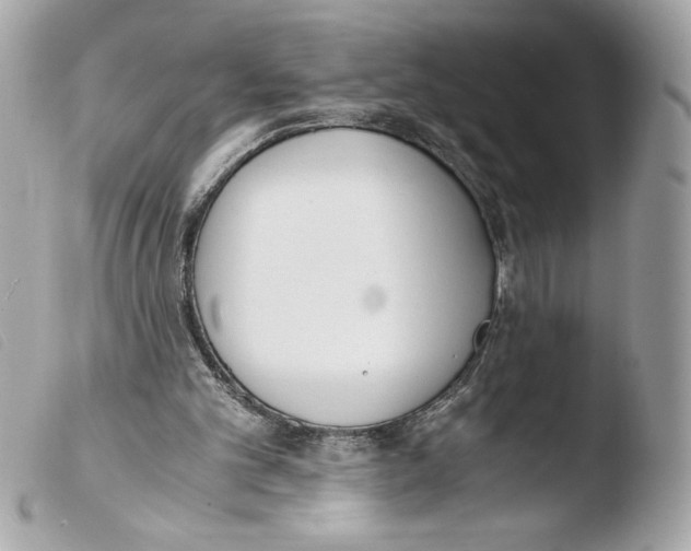 X0000103500101200810101055