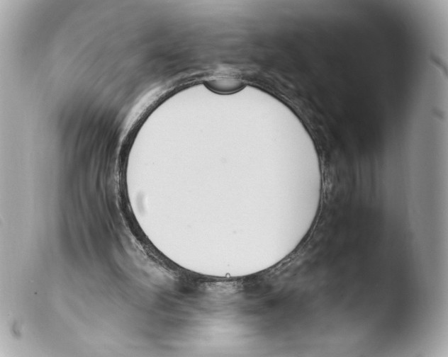 X0000103500102200810101055