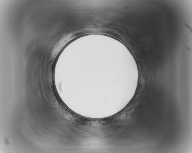 X0000103500103200810101055