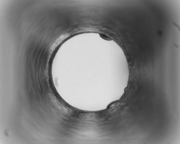 X0000103500104200810101055