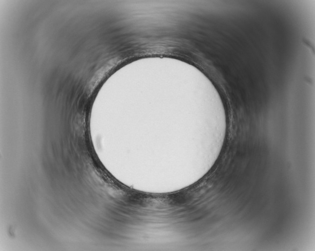 X0000103500107200810101055