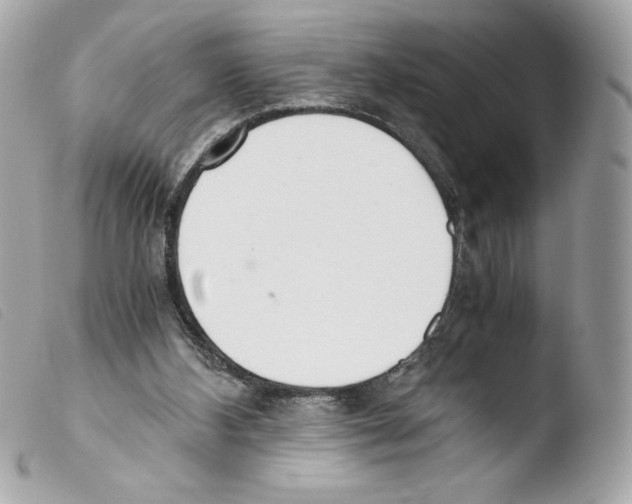 X0000103500108200810101055