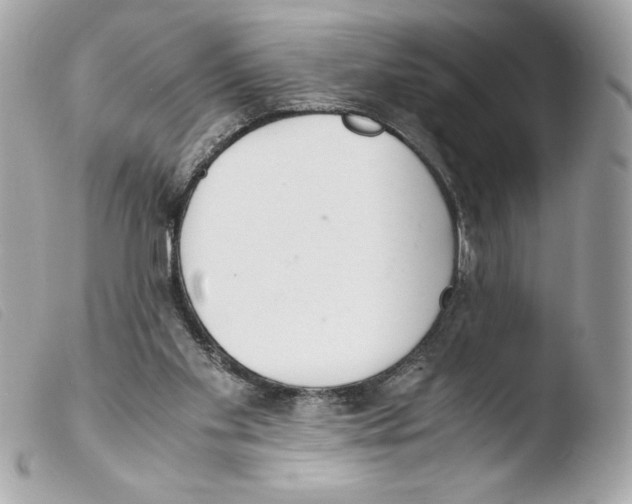 X0000103500109200810101055