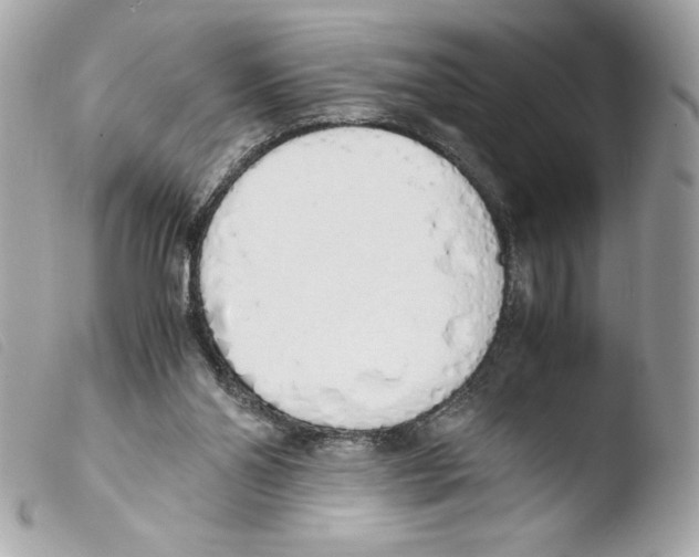 X0000103500110200810101055