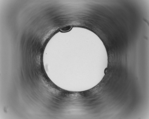 X0000103500112200810101055