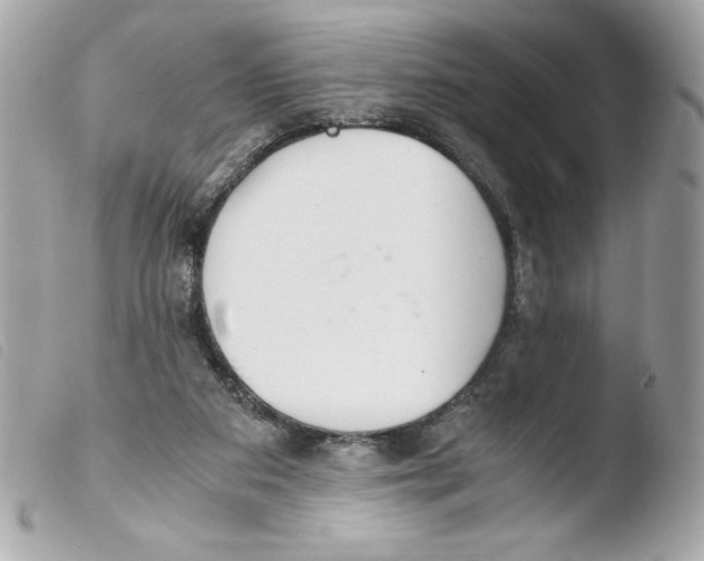 X0000103500113200810101055