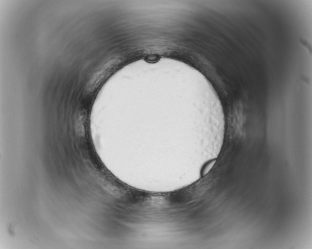 X0000103500114200810101055