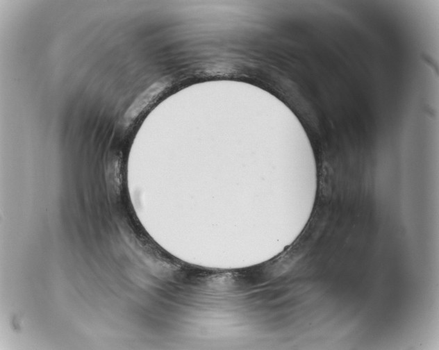 X0000103500116200810101055