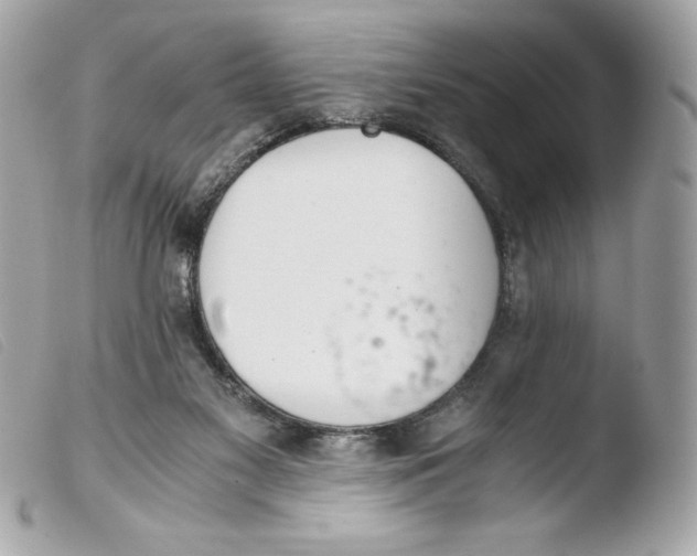 X0000103500117200810101055