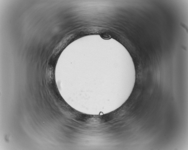 X0000103500119200810101055